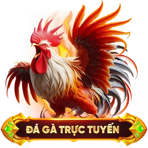 đá gà trực tuyến RR88